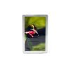 Congress Playing Cards: All A Flutter, 2-Deck Bridge Set, Jumbo Index