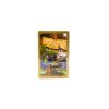Congress Playing Card Set: Rose Cottage 2-deck Set, Regular Index