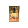 Congress Playing Card Set: Standing Proud Silver and Gold 2-Pack, Jumbo Index