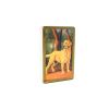 Congress Playing Card Set: Standing Proud Silver and Gold 2-Pack, Jumbo Index