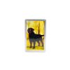 Congress Playing Card Set: Standing Proud Silver and Gold 2-Pack, Jumbo Index