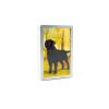 Congress Playing Card Set: Standing Proud Silver and Gold 2-Pack, Jumbo Index