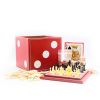 5 in 1 Dice Box Game Set