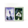 Piatnik Gift Set: In Bloom Crocus & Snowdrop - 2 Deck Set
