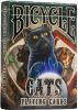 Bicycle Cats