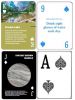 Custom Back and Face Cards - Low Minimum Quantity